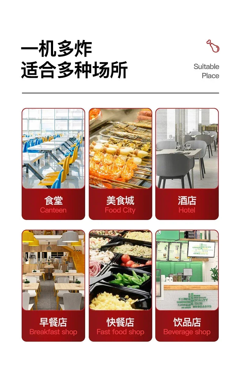 220V Fryer Electric 10L